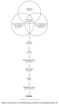 WhatsApp Image 2024-11-25 at 11.32.20.jpeg